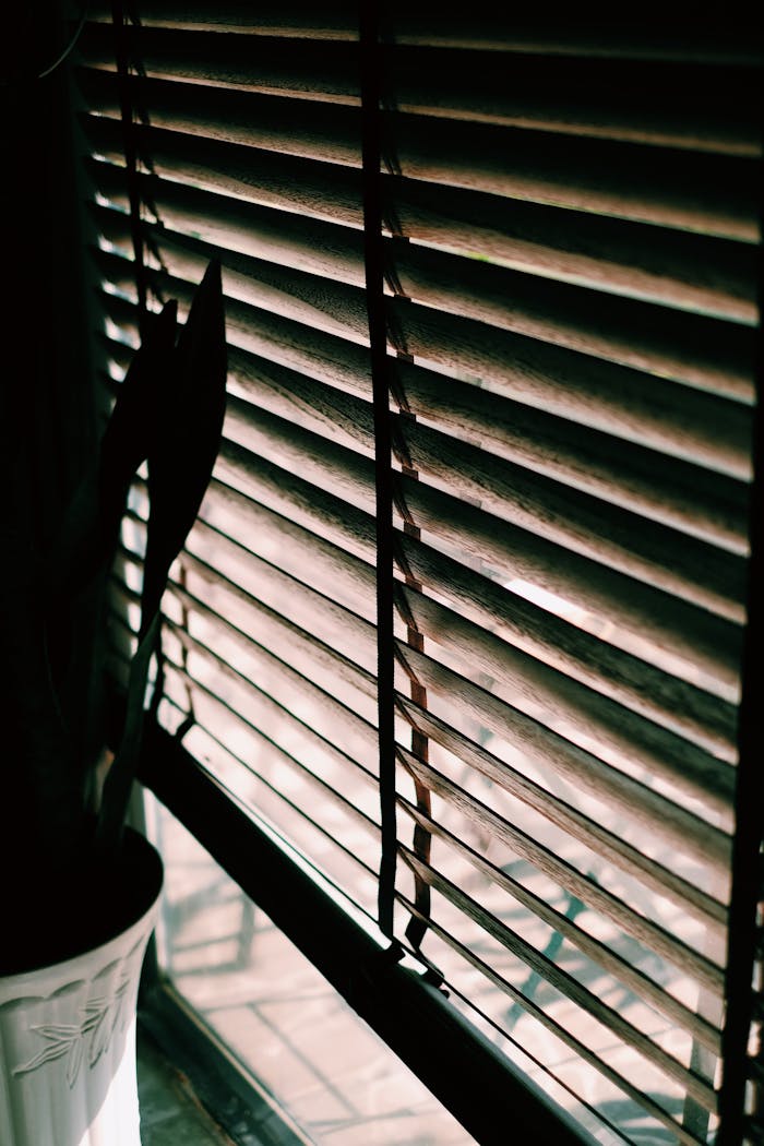 Close-up of sunlight filtering through wooden blinds, creating a warm, cozy indoor atmosphere.